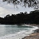  Necip, , 44  -  16  2014    2014