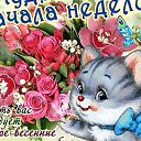 ���� �����, �����, 53 ���� - ��������� 21 ������ 2014 � ������ ������ ��������