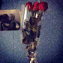 ���� ������, �������, 29 ��� - ��������� 15 ������ 2014 � ������ ������ ��������