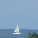 ���� ������, ����������, 49 ��� - ��������� 13 ������ 2014 � ������ ������ ��������