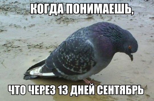    :D - 19  2014  03:10