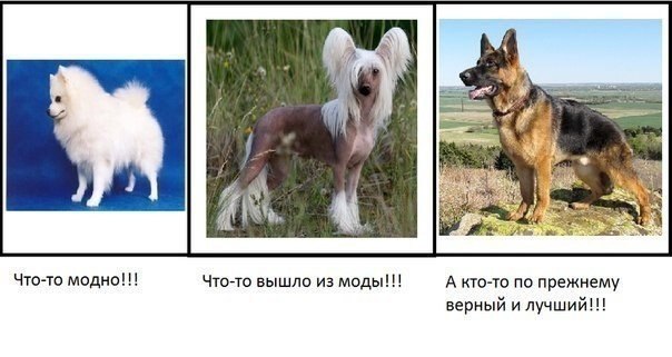  - 22  2014  18:33
