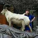 ���� ����, ����������, 47 ��� - ��������� 12 ������ 2014 � ������ ���� ����������