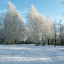 ���� ������, �������, 49 ��� - ��������� 20 ����� 2014 � ������ ���� ����������