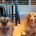 ���� �������, ����-���������, 53 ���� - ��������� 29 ����� 2014 � ������ ������ ��������