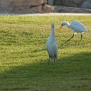 ���� �����, ������, 26 ��� - ��������� 17 ���� 2014 � ������ ������ :3�