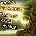 ���� ���������, �����-���������, 42 ���� - ��������� 25 ���� 2014 � ������ ������ ��������