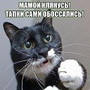 ���� �������, ����-���������, 53 ���� - ��������� 1 ������ 2014 � ������ ������ ��������