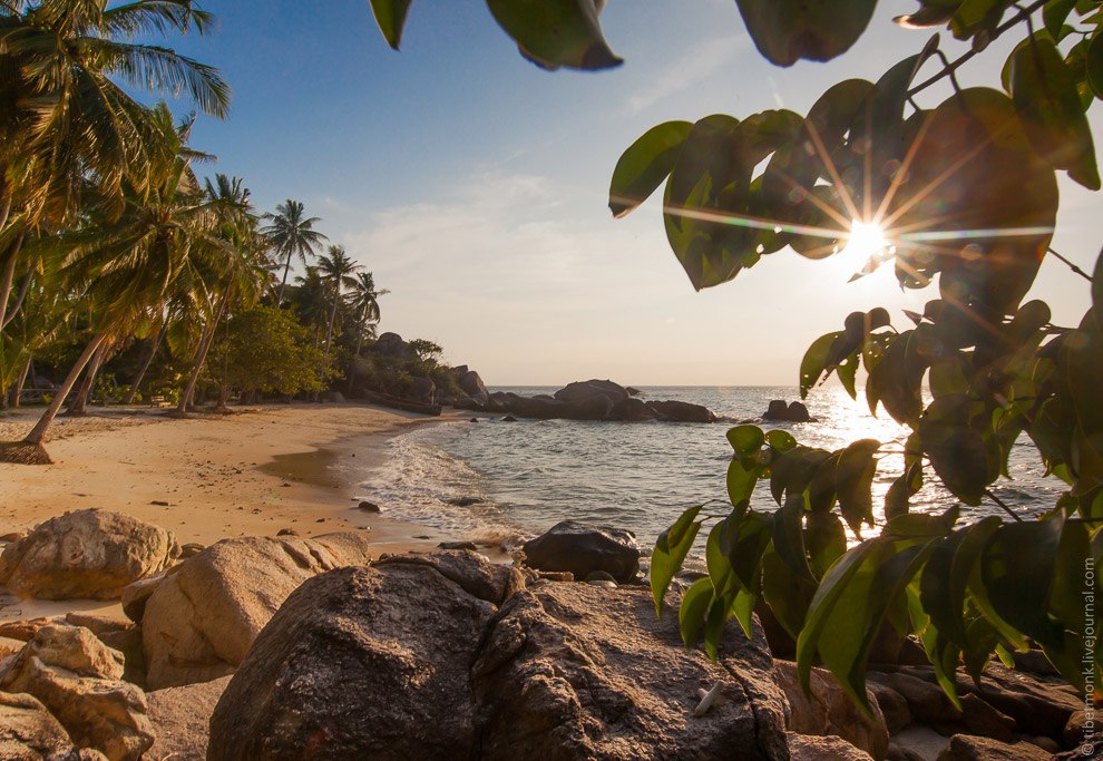 Koh Tao      ,        ... - 8