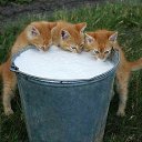 ���� �������, ��������� - ��������� 6 ���� 2014 � ������ ������ ��������