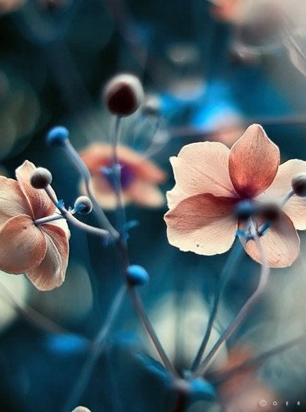     ,    :  ,       ... - 6