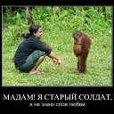 ���� �������, ���������, 49 ��� - ��������� 27 ����� 2014