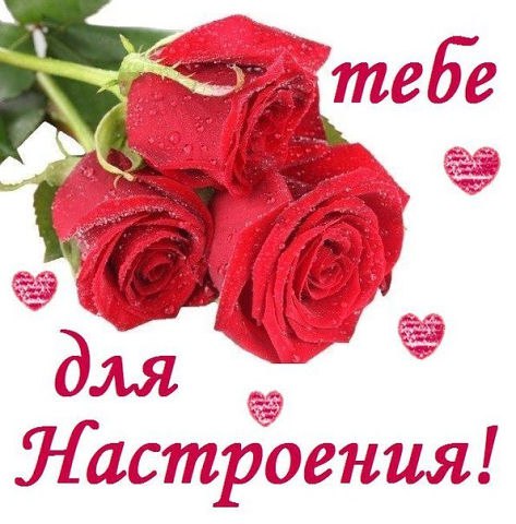 Я налью дурмана Летних Трав.. И щепотку Утренних Туманов.. А затем..Букет Ветров собрав.. Я насыплю ...