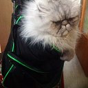 ���� �������, ��������� - ��������� 13 ��� 2014 � ������ �:)�