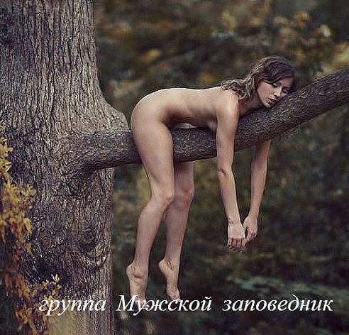     .    -  .      ...