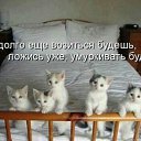 ���� ����, ���� - ��������� 21 ������� 2014 � ������ ������ ��������