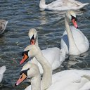 ���� ������, ������ - ��������� 24 ������ 2014 � ������ ������ ��������