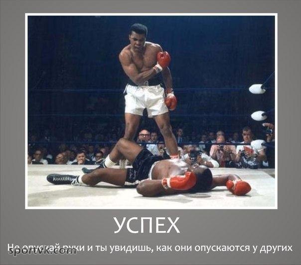  -   - 29  2014  07:10