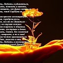 ���� �����, ���������, 64 ���� - ��������� 5 ������ 2014 � ������ ������ ��������