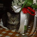 ���� ������, �������� - ��������� 6 ���� 2014 � ������ ���� ���������