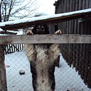 ���� ������, ������ - ��������� 22 ���� 2014 � ������ ���� ����������