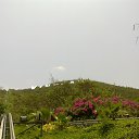 ���� �����, ������������ - ��������� 25 ������ 2014 � ������ ��������,�������