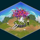  ,  -  20  2014   Tropikania