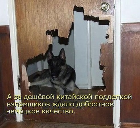  - 28  2014  14:03