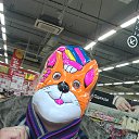 ���� ������, ������, 35 ��� - ��������� 6 ���� 2014 � ������ ���� ����������