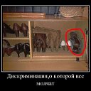 ���� ����, ������ - ��������� 16 ������ 2014 � ������ ������ ��������