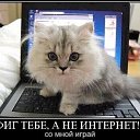 ���� ������� =)))))))), ���� - ��������� 16 ���� 2014 � ������ ���� ����������