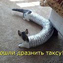 ���� ���� ������, ������, 59 ��� - ��������� 17 ������� 2014 � ������ ������ ��������