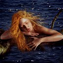  , , 103  -  12  2014    