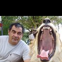 ���� Boris, �������� - ��������� 31 ��� 2014 � ������ ���� ����������