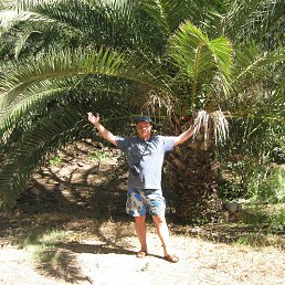 ������, ������, 42 ����