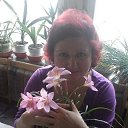 ���� �������, �������� - ��������� 29 ���� 2014 � ������ ���� ����������