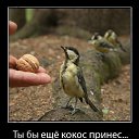 ���� ����, ���� - ��������� 21 ������� 2014 � ������ ������ ��������