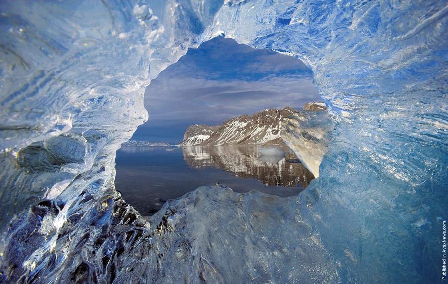     .  (Paul Nicklen)    National Geographic  ... - 8