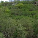 ���� ���������, ������, 52 ���� - ��������� 22 ��� 2014 � ������ ������� �������� ������ 2014�