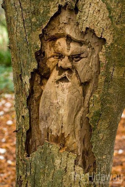 Tree Art - 7