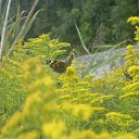 ���� �����, �����������, 48 ��� - ��������� 25 ������ 2014 � ������ ���� ����������