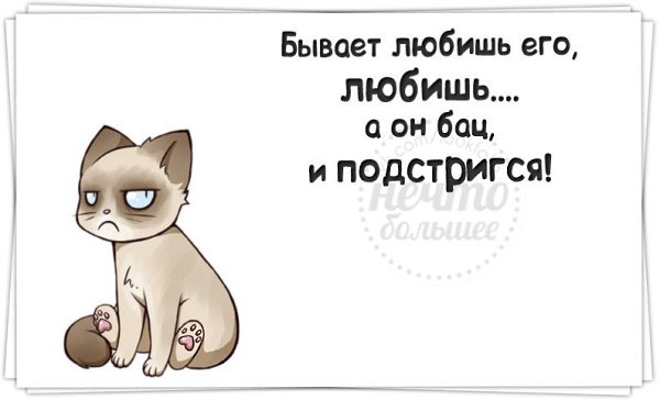   - 20  2014  21:41