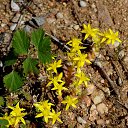 3.07.2014 �� ������� �� ��� - ��������!!!)))�