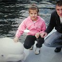 ���� ����, ������, 48 ��� - ��������� 23 ���� 2014 � ������ ���� ����������