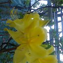 ���� ������, �����-��������� - ��������� 30 ������ 2014 � ������ ���� ����������