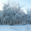 ���� ������, �������, 49 ��� - ��������� 20 ����� 2014 � ������ ���� ����������