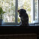 ���� Ivan, �������, 38 ��� - ��������� 5 ������� 2014 � ������ ���� ����������