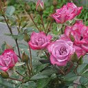 �������� ������ ����..... �� ������� ���� ������� �������