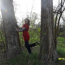 ���� ��������, ���������, 39 ��� - ��������� 29 ������ 2014 � ������ ���� ����������
