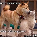 ���� �������, ����-���������, 53 ���� - ��������� 31 ����� 2014 � ������ ������ ��������